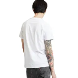 housemark graphic Levis - 2